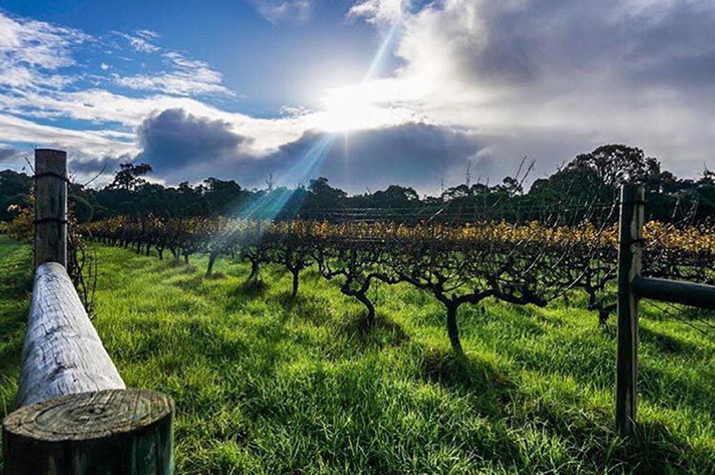 Island Brook Estate Winery And Chalets Margaret River Ngoại thất bức ảnh