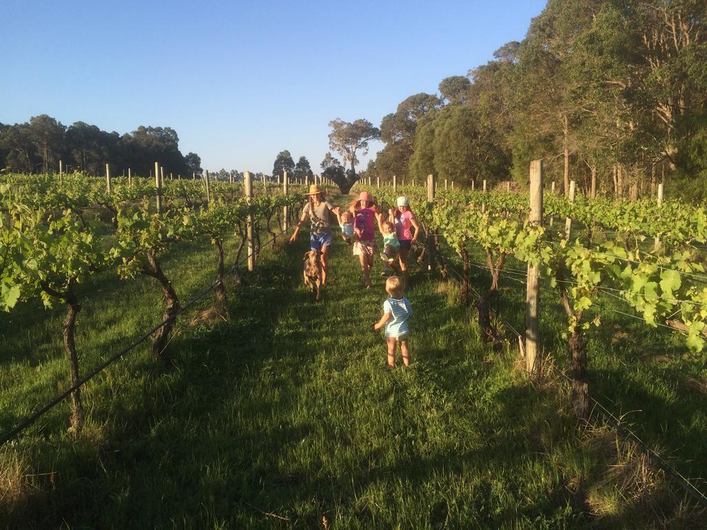Island Brook Estate Winery And Chalets Margaret River Ngoại thất bức ảnh